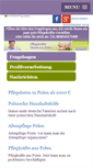 Mobile Screenshot of pflegekrafteauspolen.de